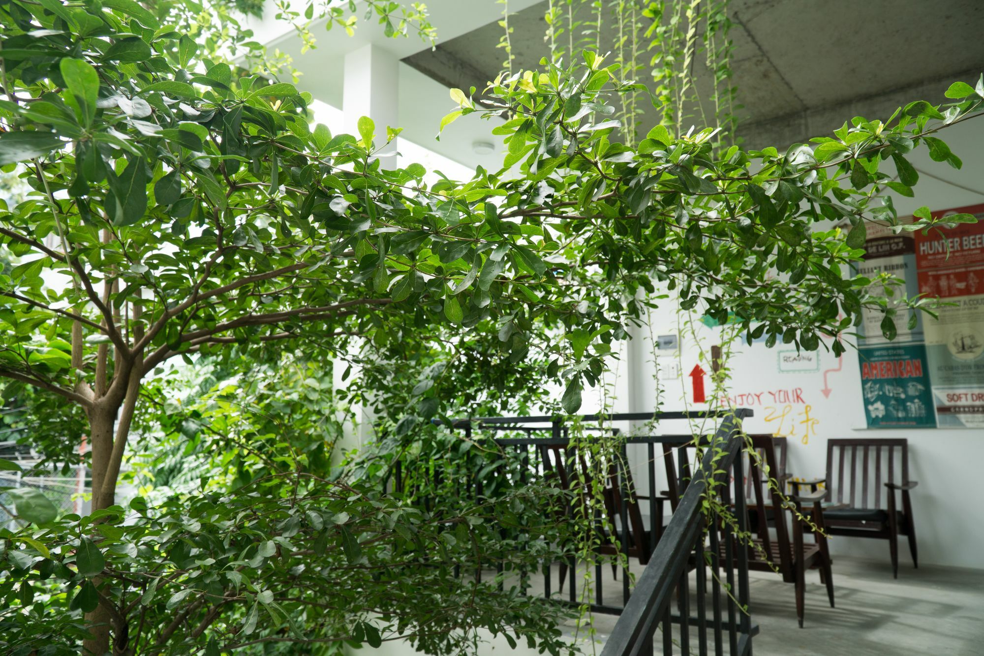 Kiu House - 3Br - Green & Artistic Ντα Νανγκ Εξωτερικό φωτογραφία